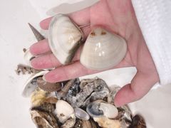 -惠州金海湾嘉华度假酒店