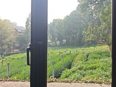 -野蔓果·山野菜(西湖景区·龙井茶田店)