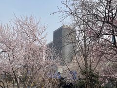 -安定门(地铁站)