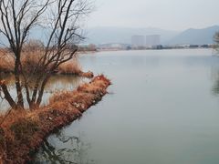 -长兴太湖图影湿地文化园