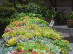 -寂照庵