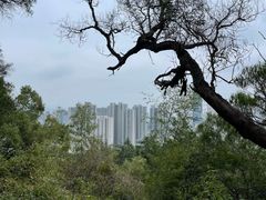 -乌山风景区