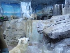 -多彩贵州城极地海洋世界