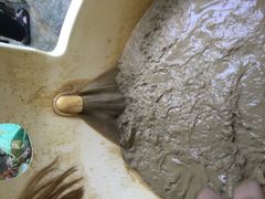 -100蛋泥浆浴