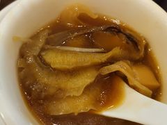 -大中鱼翅 Taitong Shark Fin