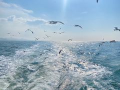 -海驴岛(荣成市)