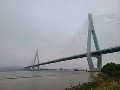 -芒洲湿地公园