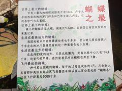 -上海大自然野生昆虫馆(东方明珠·爬宠昆虫探索中心)