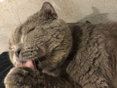 -浣熊柯尔鸭土拨鼠·电玩咖