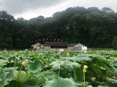 -古田会议纪念馆