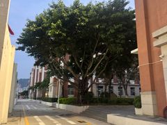 -厦门市蔡塘学校