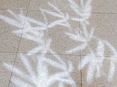-车公庙(地铁站)