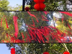 -神光山国家森林公园