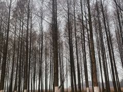 -云龙湖旅游景区