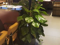 -四川饭店(长白店)