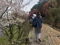 -东海半边山旅游度假区