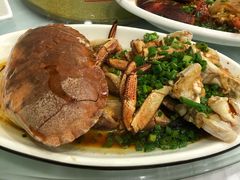 -金海湾海鲜排档(朱家尖店)