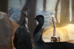 -酷嗒动物文化乐园(cutezoo西溪乐天城店)