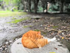 -苏州河梦清园环保主题公园