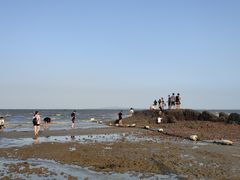 -巨鹏飞梦幻海岸
