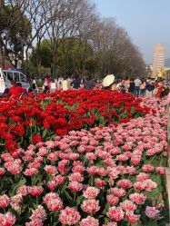 -玄武湖景区-情侣园游乐场