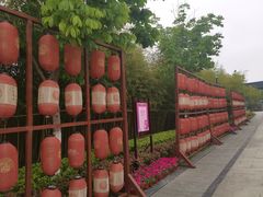 -东台西溪天仙缘景区