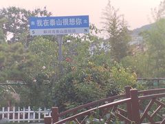 -蘇河湾·新鲁菜·泰山宴(泰山店)