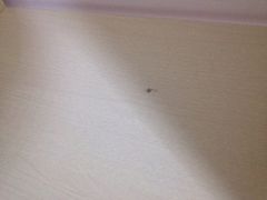长虹家具世界-长虹家具世界(渭水道店)