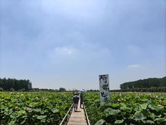 -渌洋湖湿地公园