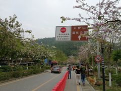 -火炉山森林公园