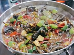 -龙小海荆沙鸽子店(瑞安街店)
