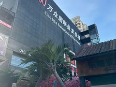 -越南街(万众国际批发市场店)