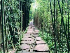 -川西竹海景区