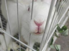 -六月涮串(龙城盛汇店)