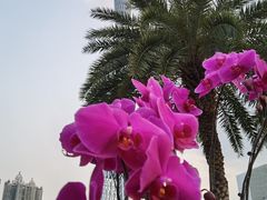 -海心沙亚运公园