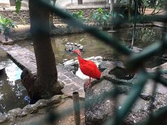 -卡塞拉自然公园
