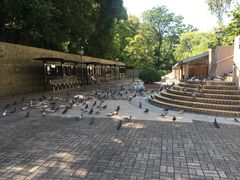 -九龙公园
