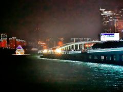 -演武大桥观景平台