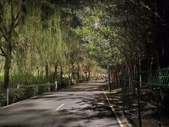 -长白岛森林公园