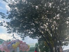 -喜茶(迪士尼小镇DP店)