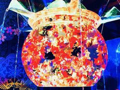 -上海环球金融中心云端足球盛典