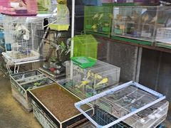 -保定市花鸟鱼虫市场