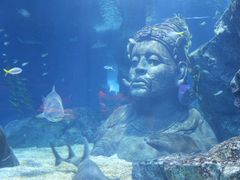 -暹罗海洋世界