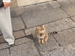 -南后街-郎官巷