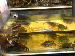 -ZF Seafood Restaurant 卓峰海鲜餐