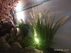 -绿茶餐厅(昌平悦荟店)