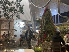 -tea'stone (万象天地店)