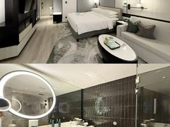 -新加坡乌节希尔顿酒店 (SG Clean)