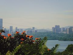 -深圳仙湖植物园