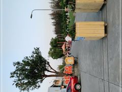 -前小桔亲子创意农场·草莓采摘·露营烧烤